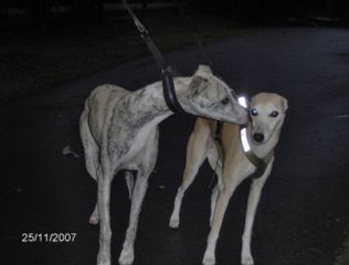 Chippen & Nikita
