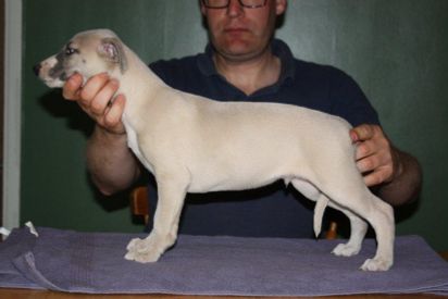 Play A While The Line Of Beauty - Byron 7,5 weeks