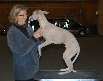 It is not easy to behave when you are so happy and playful!