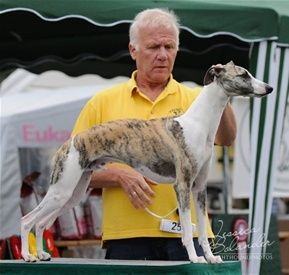 Twin Hills Houston with breeder Pekka Nykopp