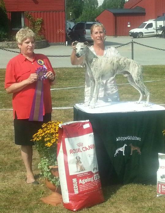BIS Veteran! Thanks to the judge Sharon Sakson, US