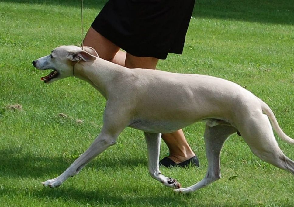 This boy can really move! (4 years)